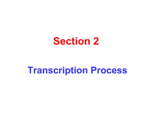 Section 2
Transcription Process
 
