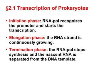 §2.1 Transcription of Prokaryotes
• Initiation phase: RNA-pol recognizes
the promoter and starts the
transcription.
• Elongation phase: the RNA strand is
continuously growing.
• Termination phase: the RNA-pol stops
synthesis and the nascent RNA is
separated from the DNA template.
 