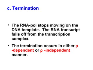 c. Termination
• The RNA-pol stops moving on the
DNA template. The RNA transcript
falls off from the transcription
complex.
• The termination occurs in either ρ
-dependent or ρ -independent
manner.
 