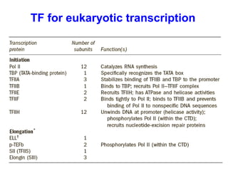 TF for eukaryotic transcription
 