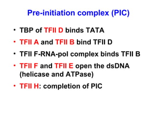 • TBP of TFII D binds TATA
• TFII A and TFII B bind TFII D
• TFII F-RNA-pol complex binds TFII B
• TFII F and TFII E open the dsDNA
(helicase and ATPase)
• TFII H: completion of PIC
Pre-initiation complex (PIC)
 