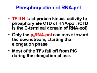 • TF II H is of protein kinase activity to
phosphorylate CTD of RNA-pol. (CTD
is the C-terminal domain of RNA-pol)
• Only the p-RNA-pol can move toward
the downstream, starting the
elongation phase.
• Most of the TFs fall off from PIC
during the elongation phase.
Phosphorylation of RNA-pol
 