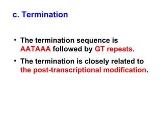 • The termination sequence is
AATAAA followed by GT repeats.
• The termination is closely related to
the post-transcriptional modification.
c. Termination
 