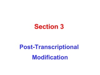 Section 3
Post-Transcriptional
Modification
 