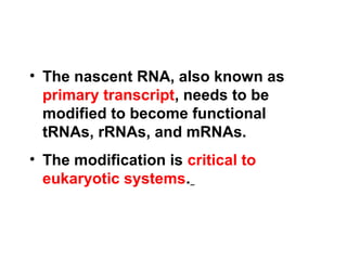 • The nascent RNA, also known as
primary transcript, needs to be
modified to become functional
tRNAs, rRNAs, and mRNAs.
• The modification is critical to
eukaryotic systems.
 