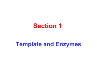 Section 1
Template and Enzymes
 