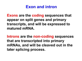 Exon and intron
Exons are the coding sequences that
appear on split genes and primary
transcripts, and will be expressed to
matured mRNA.
Introns are the non-coding sequences
that are transcripted into primary
mRNAs, and will be cleaved out in the
later splicing process.
 