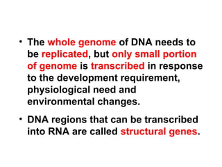 • The whole genome of DNA needs to
be replicated, but only small portion
of genome is transcribed in response
to the development requirement,
physiological need and
environmental changes.
• DNA regions that can be transcribed
into RNA are called structural genes.
 