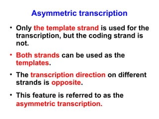 • Only the template strand is used for the
transcription, but the coding strand is
not.
• Both strands can be used as the
templates.
• The transcription direction on different
strands is opposite.
• This feature is referred to as the
asymmetric transcription.
Asymmetric transcription
 