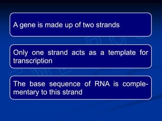 A gene is made up of two strands
Only one strand acts as a template for
transcription
The base sequence of RNA is comple-
mentary to this strand
 