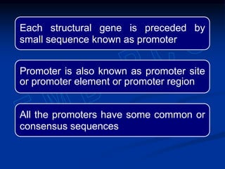 Each structural gene is preceded by
small sequence known as promoter
Promoter is also known as promoter site
or promoter element or promoter region
All the promoters have some common or
consensus sequences
 