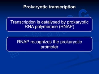 Transcription is catalysed by prokaryotic
RNA polymerase (RNAP)
RNAP recognizes the prokaryotic
promoter
Prokaryotic transcription
 