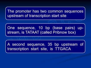 The promoter has two common sequences
upstream of transcription start site
One sequence, 10 bp (base pairs) up-
stream, is TATAAT (called Pribnow box)
A second sequence, 35 bp upstream of
transcription start site, is TTGACA
 