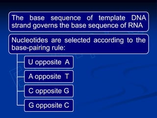 The base sequence of template DNA
strand governs the base sequence of RNA
Nucleotides are selected according to the
base-pairing rule:
U opposite A
A opposite T
C opposite G
G opposite C
 