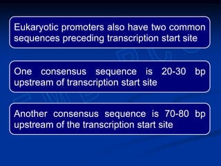 Eukaryotic promoters also have two common
sequences preceding transcription start site
One consensus sequence is 20-30 bp
upstream of transcription start site
Another consensus sequence is 70-80 bp
upstream of the transcription start site
 