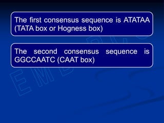 The first consensus sequence is ATATAA
(TATA box or Hogness box)
The second consensus sequence is
GGCCAATC (CAAT box)
 