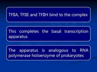 TFIIA, TFIIE and TFIIH bind to the complex
This completes the basal transcription
apparatus
The apparatus is analogous to RNA
polymerase holoenzyme of prokaryotes
 