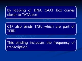 By looping of DNA, CAAT box comes
closer to TATA box
CTF also binds TAFs which are part of
TFIID
This binding increases the frequency of
transcription
 