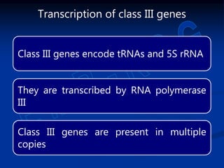 Class III genes encode tRNAs and 5S rRNA
They are transcribed by RNA polymerase
III
Class III genes are present in multiple
copies
Transcription of class III genes
 