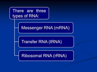 There are three
types of RNA:
Messenger RNA (mRNA)
Transfer RNA (tRNA)
Ribosomal RNA (rRNA)
 