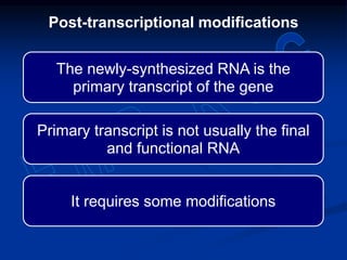 The newly-synthesized RNA is the
primary transcript of the gene
Primary transcript is not usually the final
and functional RNA
It requires some modifications
Post-transcriptional modifications
 