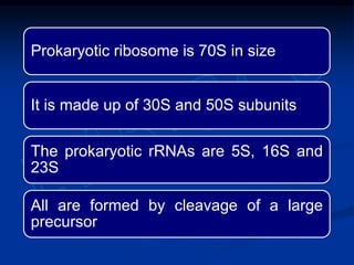 Prokaryotic ribosome is 70S in size
It is made up of 30S and 50S subunits
The prokaryotic rRNAs are 5S, 16S and
23S
All are formed by cleavage of a large
precursor
 