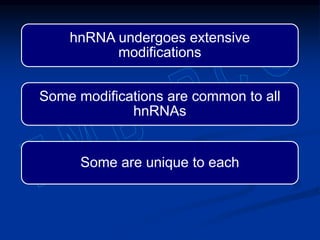 hnRNA undergoes extensive
modifications
Some modifications are common to all
hnRNAs
Some are unique to each
 