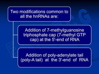 Two modifications common to
all the hnRNAs are:
Addition of 7-methylguanosine
triphosphate cap (7-methyl GTP
cap) at the 5'-end of RNA
Addition of poly-adenylate tail
(poly-A tail) at the 3'-end of RNA
 