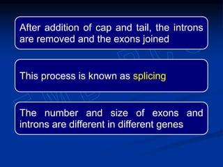 After addition of cap and tail, the introns
are removed and the exons joined
This process is known as splicing
The number and size of exons and
introns are different in different genes
 