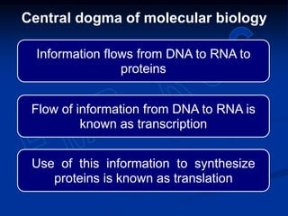 Information flows from DNA to RNA to
proteins
Flow of information from DNA to RNA is
known as transcription
Use of this information to synthesize
proteins is known as translation
Central dogma of molecular biology
 