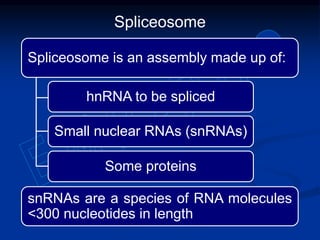 Spliceosome
Spliceosome is an assembly made up of:
hnRNA to be spliced
Small nuclear RNAs (snRNAs)
Some proteins
snRNAs are a species of RNA molecules
<300 nucleotides in length
 
