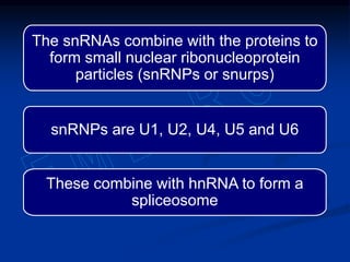 The snRNAs combine with the proteins to
form small nuclear ribonucleoprotein
particles (snRNPs or snurps)
snRNPs are U1, U2, U4, U5 and U6
These combine with hnRNA to form a
spliceosome
 