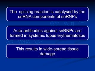 The splicing reaction is catalysed by the
snRNA components of snRNPs
Auto-antibodies against snRNPs are
formed in systemic lupus erythematosus
This results in wide-spread tissue
damage
 