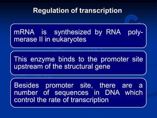 mRNA is synthesized by RNA poly-
merase II in eukaryotes
This enzyme binds to the promoter site
upstream of the structural gene
Besides promoter site, there are a
number of sequences in DNA which
control the rate of transcription
Regulation of transcription
 