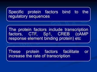 Specific protein factors bind to the
regulatory sequences
The protein factors include transcription
factors, CTF, Sp1, CREB (cAMP
response element binding protein) etc
These protein factors facilitate or
increase the rate of transcription
 