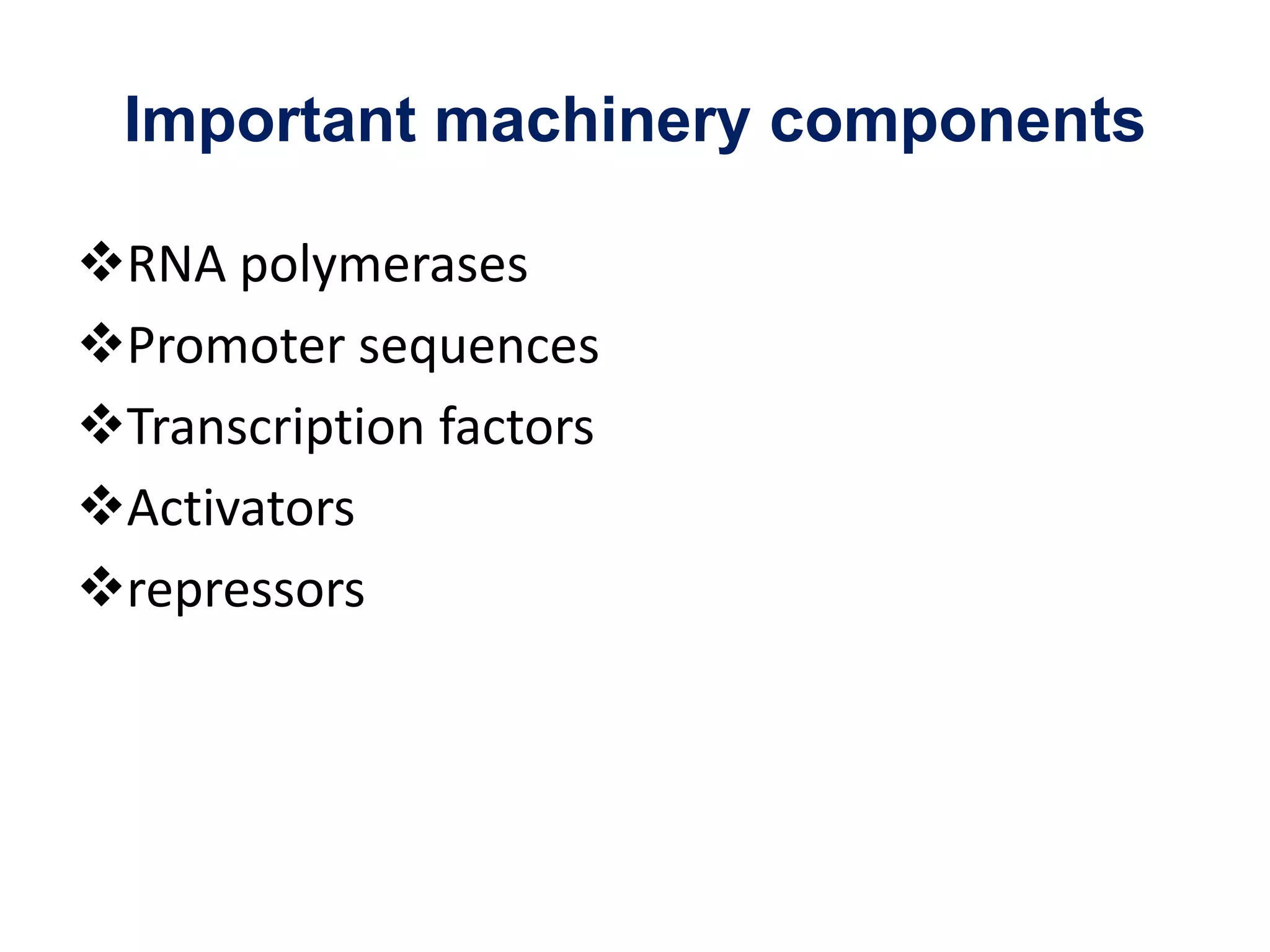 Important machinery components
RNA polymerases
Promoter sequences
Transcription factors
Activators
repressors
 