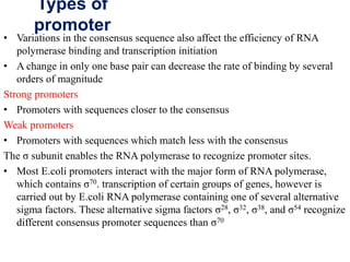 Transcription | PPTX