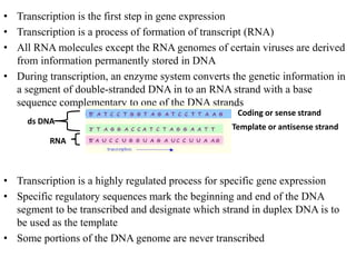 Primary Transcript Genetics Transcription | PPTX
