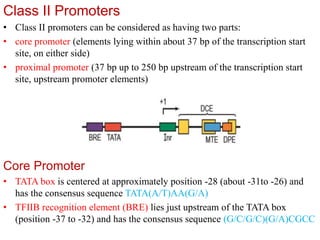 Transcription | PPTX