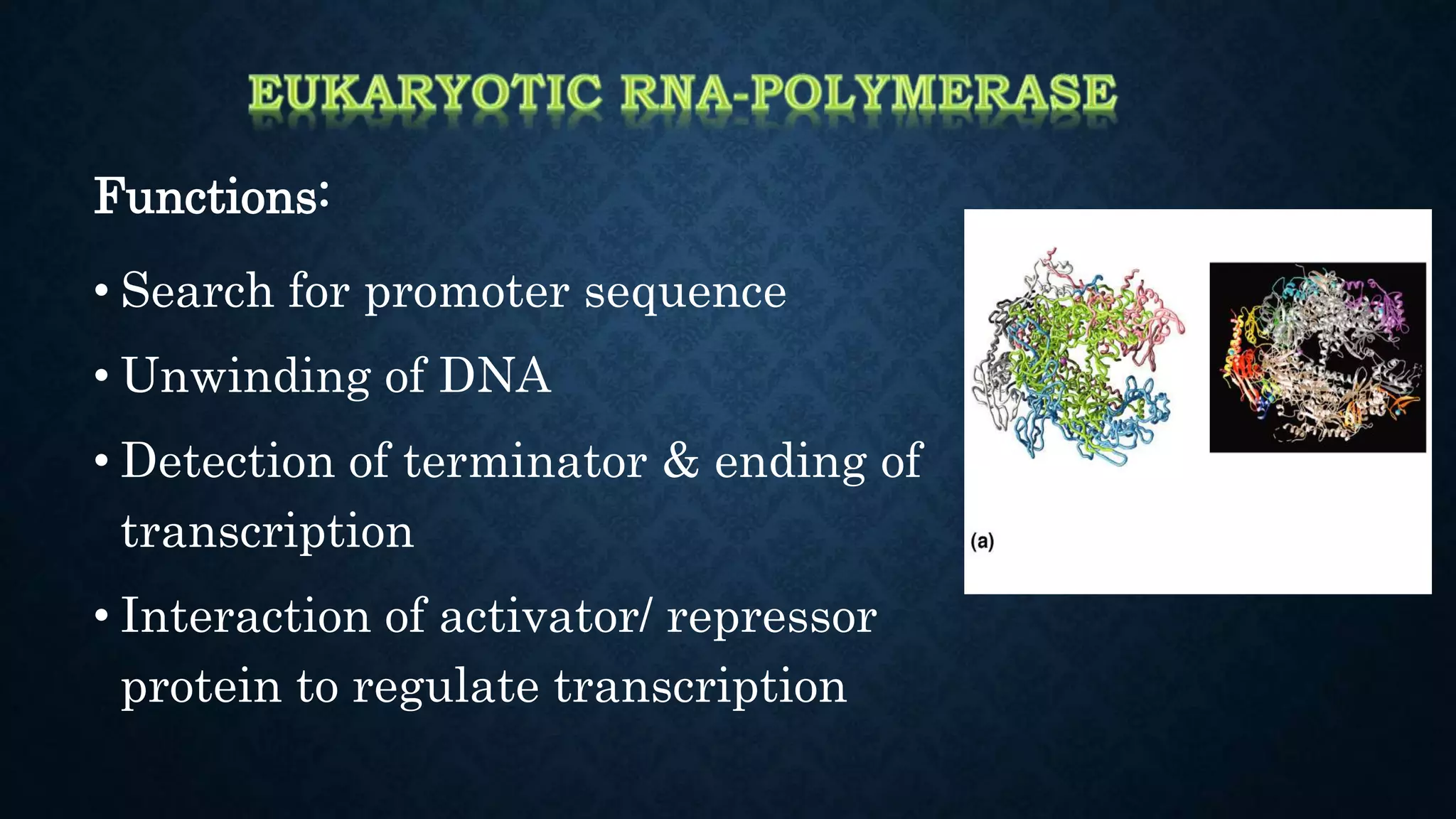 Transcription of RNA | PPTX