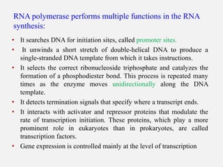 RNA polymerase performs multiple functions in the RNA
synthesis:
• It searches DNA for initiation sites, called promoter s...