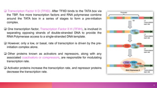  Transcription Factor II D (TFIID). After TFIID binds to the TATA box via
the TBP, five more transcription factors and RNA polymerase combine
around the TATA box in a series of stages to form a pre-initiation
complex.
 One transcription factor, Transcription Factor II H (TFIIH), is involved in
separating opposing strands of double-stranded DNA to provide the
RNA Polymerase access to a single-stranded DNA template.
 However, only a low, or basal, rate of transcription is driven by the pre-
initiation complex alone.
 Other proteins known as activators and repressors, along with any
associated coactivators or corepressors, are responsible for modulating
transcription rate.
 Activator proteins increase the transcription rate, and repressor proteins
decrease the transcription rate.
12
 
