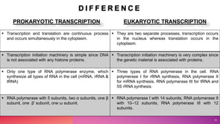 D I F F E R E N C E
PROKARYOTIC TRANSCRIPTION EUKARYOTIC TRANSCRIPTION
20
 Transcription and translation are continuous process
and occurs simultaneously in the cytoplasm.
 They are two separate processes, transcription occurs
in the nucleus whereas translation occurs in the
cytoplasm.
 Transcription initiation machinery is simple since DNA
is not associated with any histone proteins.
 Transcription initiation machinery is very complex since
the genetic material is associated with proteins.
 Only one type of RNA polymerase enzyme, which
synthesize all types of RNA in the cell (mRNA, rRNA &
tRNA)
 Three types of RNA polymerase in the cell. RNA
polymerase I for rRNA synthesis, RNA polymerase II
for mRNA synthesis. RNA polymerase III for tRNA and
5S rRNA synthesis.
 RNA polymerase with 5 subunits, two α subunits, one β
subunit, one β’ subunit, one ω subunit.
 RNA polymerase I with 14 subunits, RNA polymerase II
with 10–12 subunits, RNA polymerase III with 12
subunits.
 