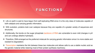 F U N C T I O N S
 Life on earth is said to have begun from self-replicating RNA since it is the only class of molecules capable of
both catalysis and carrying genetic information.
 With evolution, proteins took over catalysis because they are capable of a greater variety of sequences and
structures.
 Additionally, the bonds on the sugar phosphate backbone of RNA are vulnerable to even mild changes in pH
and can undergo alkaline hydrolysis.
 Therefore, DNA emerged as the preferred molecule for carrying genetic information since it is more stable and
resistant to degradation.
 Transcription maintains the link between these two molecules and allows cells to use a stable nucleic acid as
the genetic material while retaining most of their protein synthesis machinery.
24
 