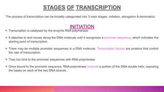 The process of transcription can be broadly categorised into 3 main stages: initiation, elongation & termination.
 Transcription is catalysed by the enzyme RNA polymerase.
 It attaches to and moves along the DNA molecule until it recognises a promoter sequence, which indicates the
starting point of transcription.
 There may be multiple promoter sequences in a DNA molecule. Transcription factors are proteins that control
the rate of transcription.
 They too bind to the promoter sequences with RNA polymerase.
 Once bound to the promotor sequence, RNA polymerase unwinds a portion of the DNA double helix, exposing
the bases on each of the two DNA strands.
4
INITIATION
 