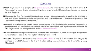 ELONGATION
 RNA Polymerase II is a complex of 12 protein subunits. Specific subunits within the protein allow RNA
Polymerase II to act as its own helicase, sliding clamp, single-stranded DNA binding protein, as well as carry
out other functions.
 Consequently, RNA Polymerase II does not need as many accessory proteins to catalyse the synthesis of
new RNA strands during transcription elongation as DNA Polymerase does to catalyse the synthesis of new
DNA strands during replication elongation.
 However, RNA Polymerase II does need a large collection of accessory proteins to initiate transcription at
gene promoters, but once the double-stranded DNA in the transcription start region has been unwound, the
RNA Polymerase II has been positioned at the +1 initiation nucleotide.
 It has started catalysing new RNA strand synthesis, RNA Polymerase II clears or “escapes” the promoter
region and leaves most of the transcription initiation proteins behind.
 All RNA Polymerases travel along the template DNA strand in the 3′ to 5′ direction and catalyse the
synthesis of new RNA strands in the 5′ to 3′ direction, adding new nucleotides to the 3′ end of the growing
RNA strand.
16
 