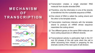 M E C H A N I S M
O F
T R A N S C R I P T I O N
 Transcription creates a single stranded RNA
molecule from double stranded DNA.
 Therefore, only the information in one of the strands
is transferred into the nucleotide sequence of RNA.
 One strand of DNA is called the coding strand and
the other is the template strand.
 Transcription machinery interacts with the template
strand to produce an mRNA whose sequence
resembles the coding strand.
 Two different genes on the same DNA molecule can
have coding sequences on different strands.
 Transcriptional activity is particularly high in the G1
and G2 phases of the cell cycle when the cell is
either recovering from mitosis or preparing for the
dramatic events of the next cycle of cell division.
3
 