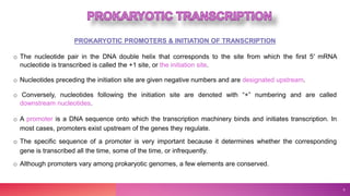 PROKARYOTIC PROMOTERS & INITIATION OF TRANSCRIPTION
o The nucleotide pair in the DNA double helix that corresponds to the ...