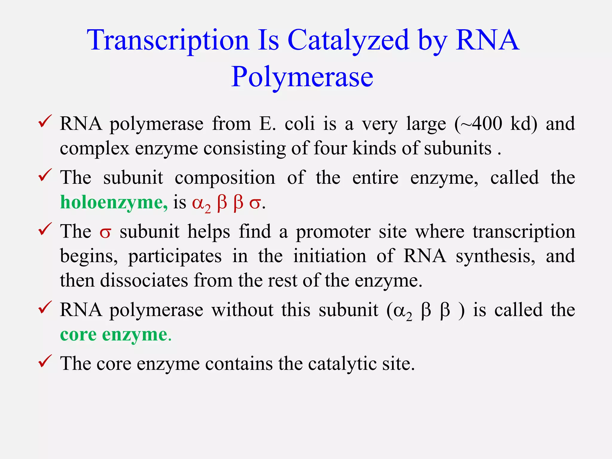 Transcription.ppt