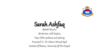 Sarah Ashfaq
BSADP-BT51F21
BS 6th Sem. ADP Replica
Topic: RNA synthesis and splicing
Presented To : Dr. Zahoor Ahmad Sajid
Institute Of Botany , University Of The Punjab
 